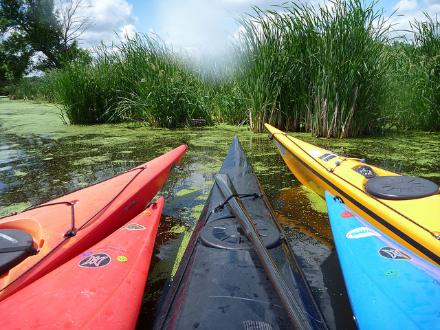 Birthday paddling