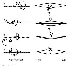 Roll of the day – Throwing stick roll, forward to forward