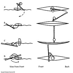 Roll of the day – Reverse Sweep